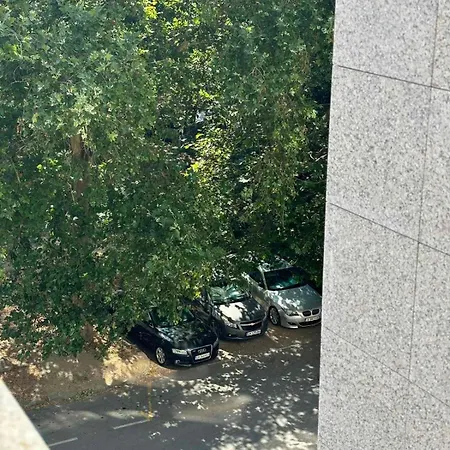 Mv-brilliant Daire *